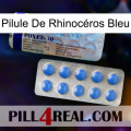 Pilule De Rhinocéros Bleu 39